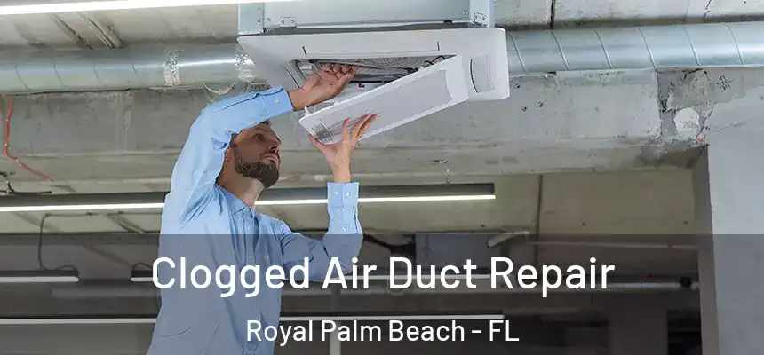 Clogged Air Duct Repair Royal Palm Beach - FL