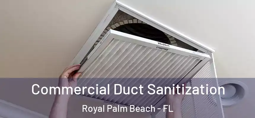 Commercial Duct Sanitization Royal Palm Beach - FL