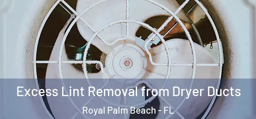 Excess Lint Removal from Dryer Ducts Royal Palm Beach - FL