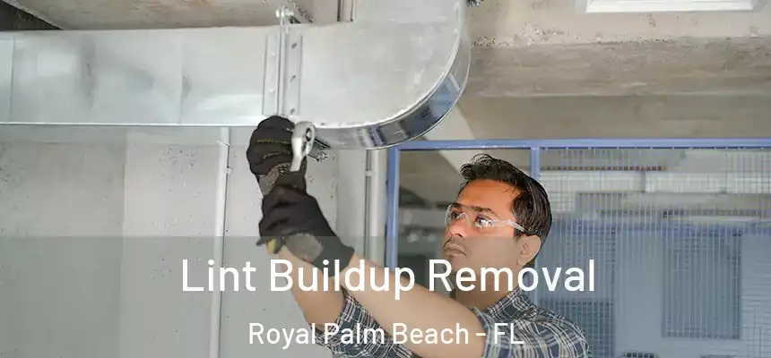 Lint Buildup Removal Royal Palm Beach - FL