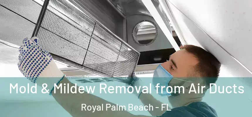 Mold & Mildew Removal from Air Ducts Royal Palm Beach - FL