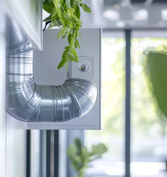 Professional Eco-Friendly Duct Cleaning Services in Royal Palm Beach, FL
