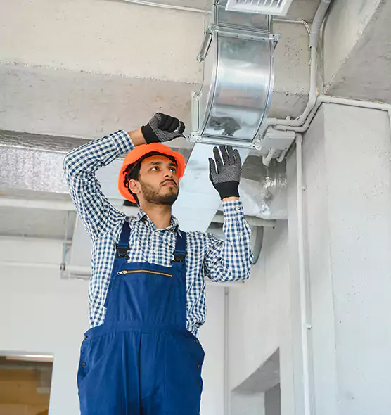 Affordable Lint Buildup Removal in Royal Palm Beach, FL